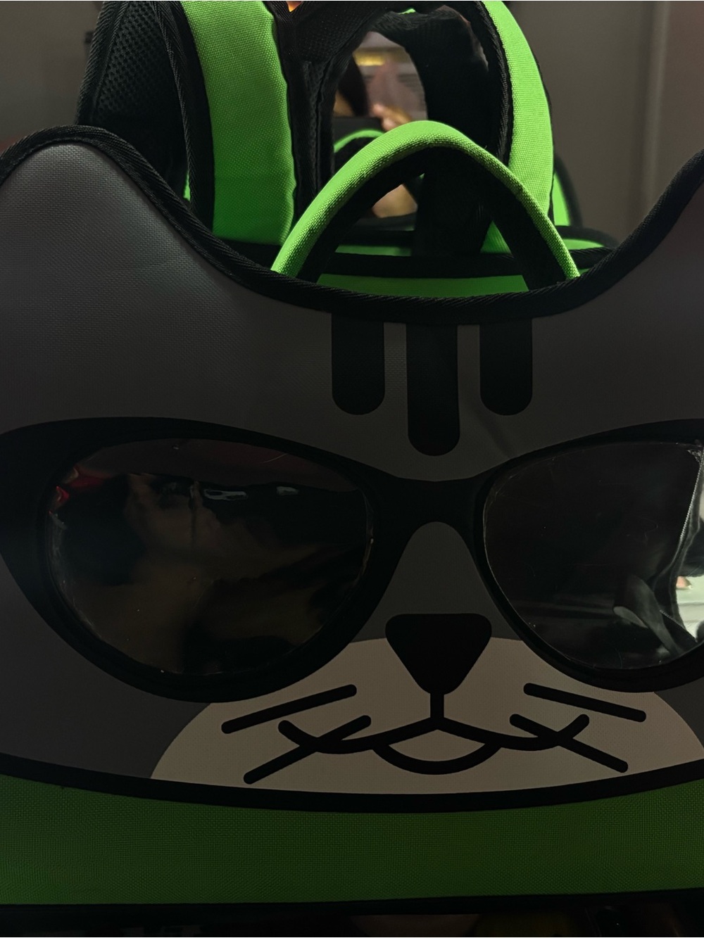 Green Cat-Themed Pet Carrier Backpack